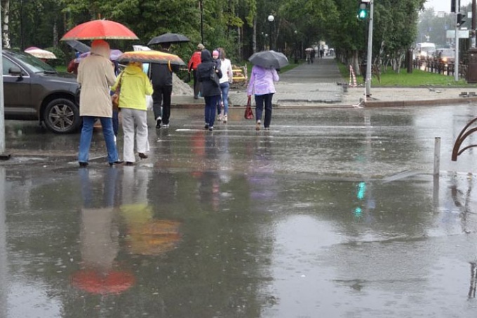 Погода на Ямале 15 июня: на всей территории округа ожидаются дожди, местами с грозами