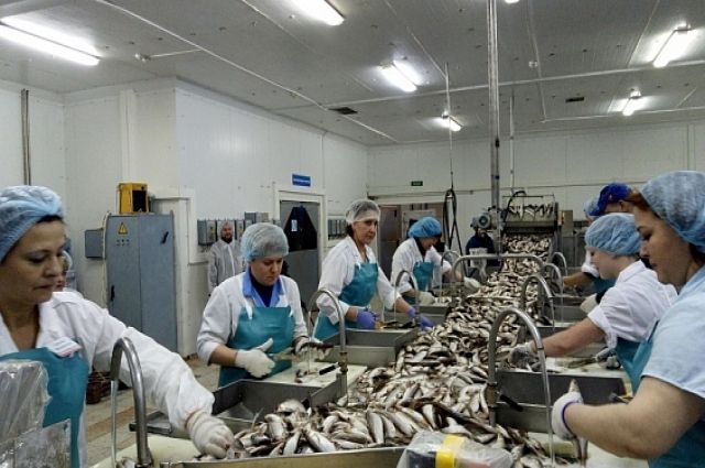 На Ямале рыбаки за месяц добыли 320 тонн рыбы